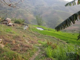 img_2460.jpg